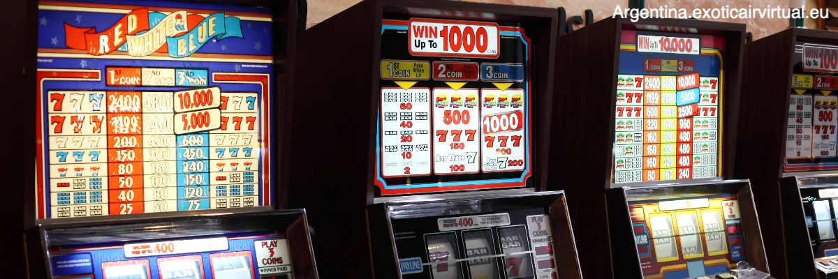 argentina.exoticairvirtual.eu